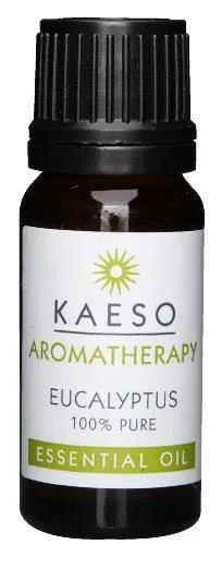Kaeso Aromatherapy Essential Oils Eucalyptus 50ML