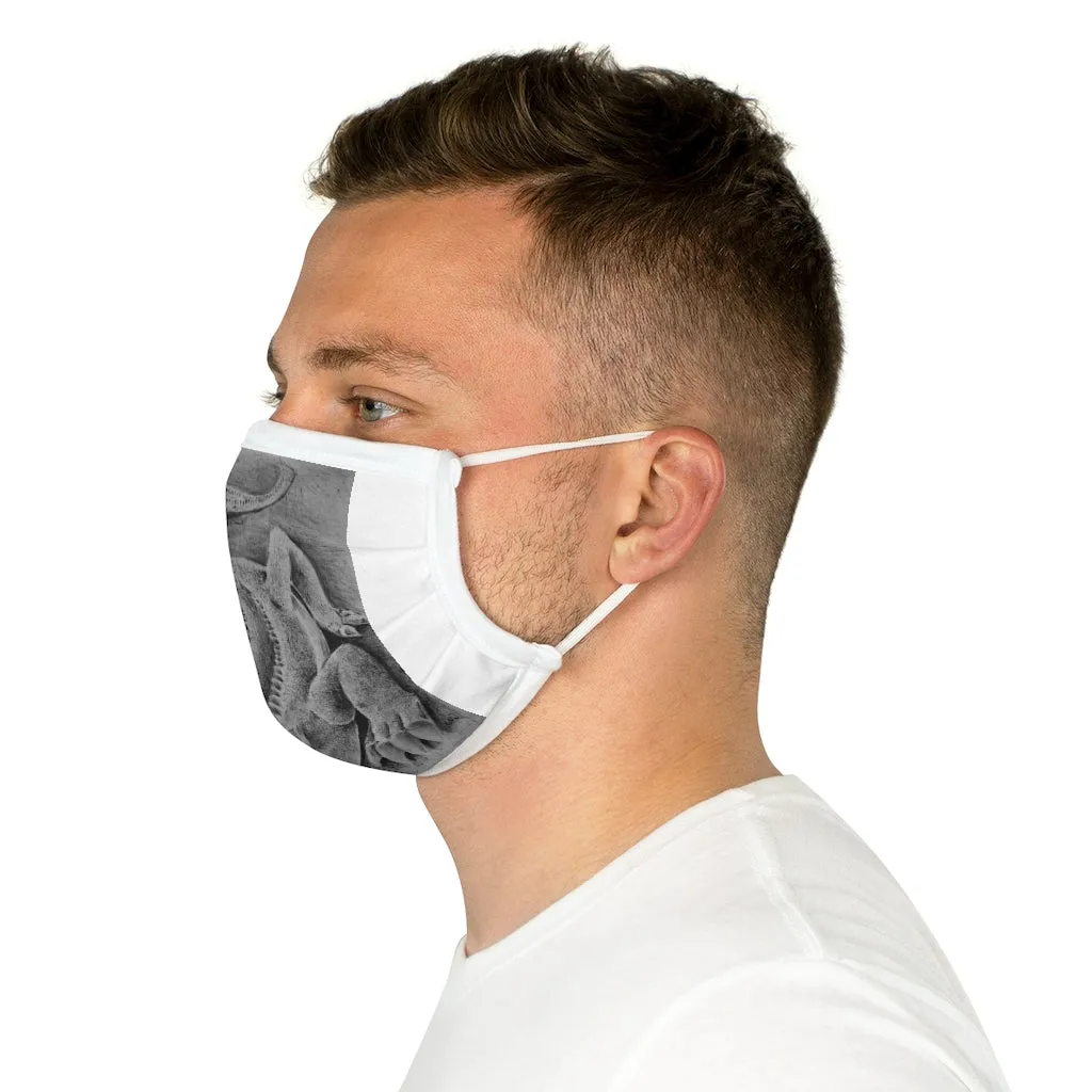 Lizzy the Lizard Cotton Face Mask (EU)