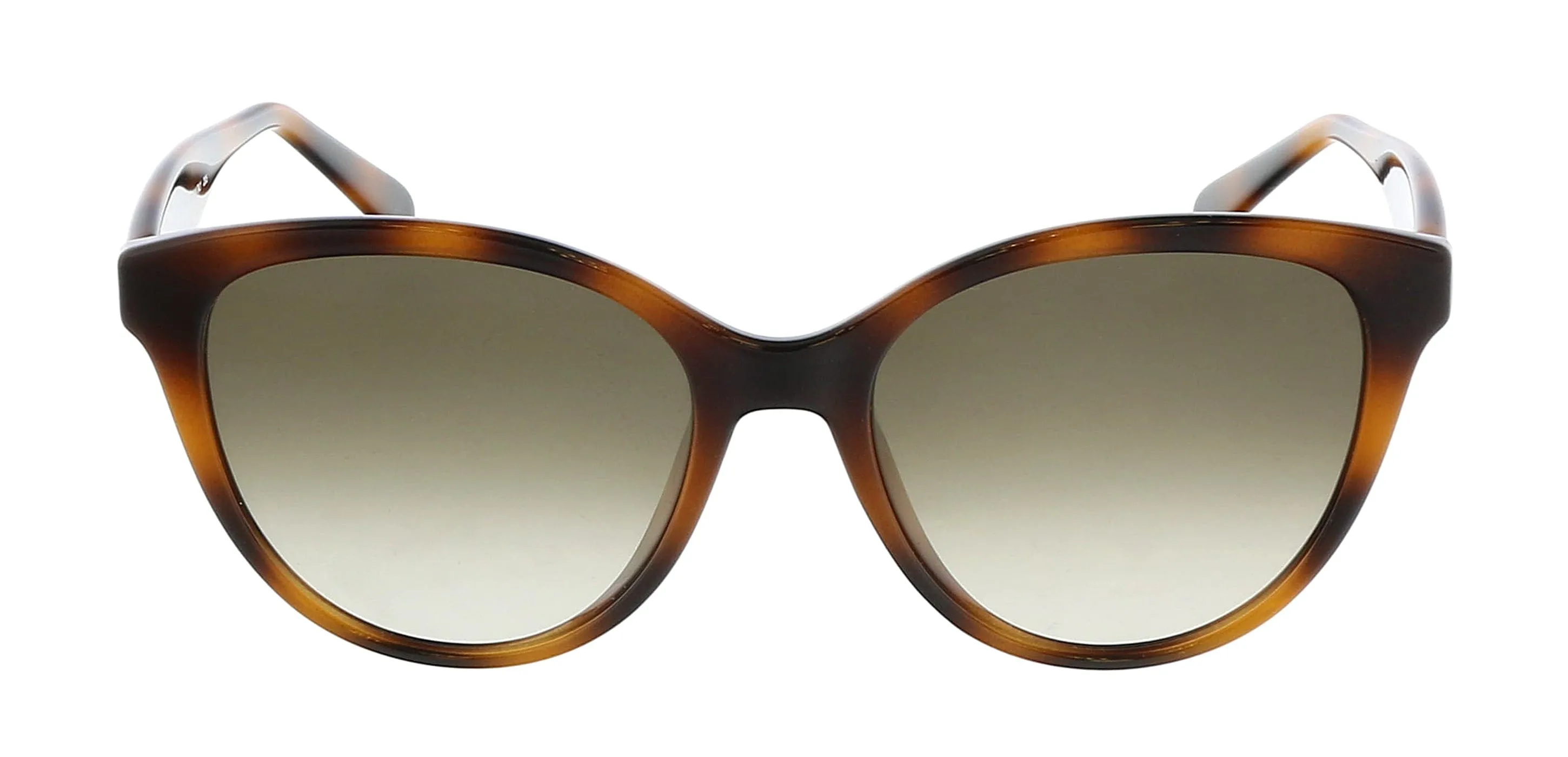 Salvatore Ferragamo SF1073S 240 Cat Eye Full Rim Sunglasses