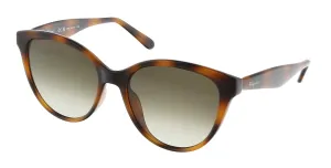 Salvatore Ferragamo SF1073S 240 Cat Eye Full Rim Sunglasses